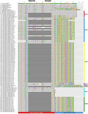 Sex Chromosome Differentiation in the Frog Genus Pseudis Involves Satellite DNA and Chromosome Rearrangements